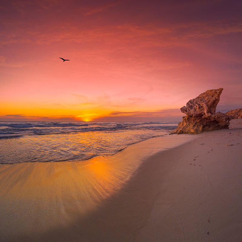  Photography | Rye Back Beach| Nick Psomiadis 