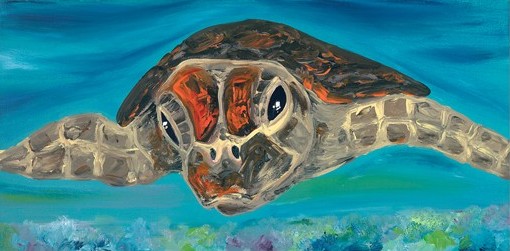 Australian Modern Marine Art | Turtle | Print Decor Gallery