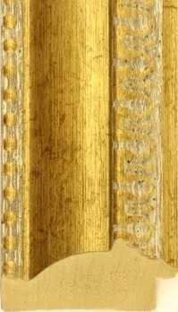 Ornate Gold Frame