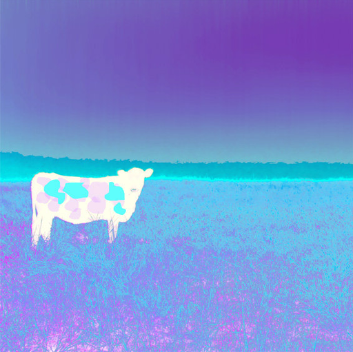 Jan Neil | I Love Cows (Aqua Violet)