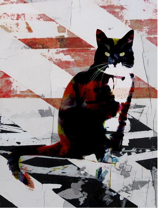 Jan Neil | Kitty Kat