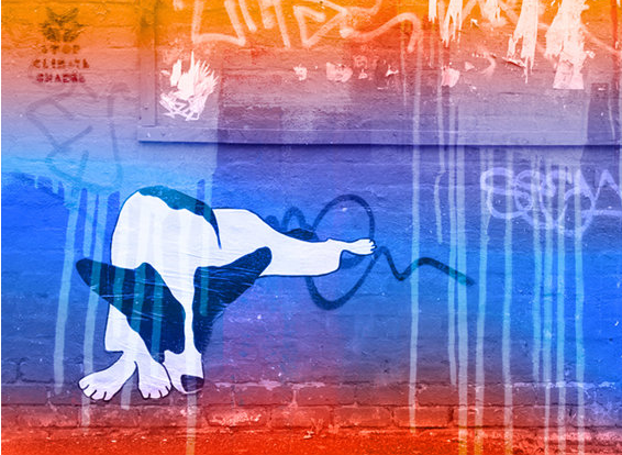 Jan Neil | Foxy