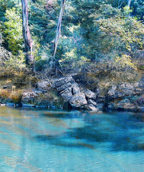 Jan Neil, Silent River Vertical