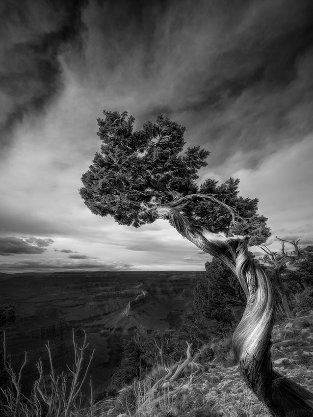 South Rim Grand Canyon | by Nick Psomiadis 