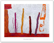 Print Decor | Anumarapiti | Tommy Watson