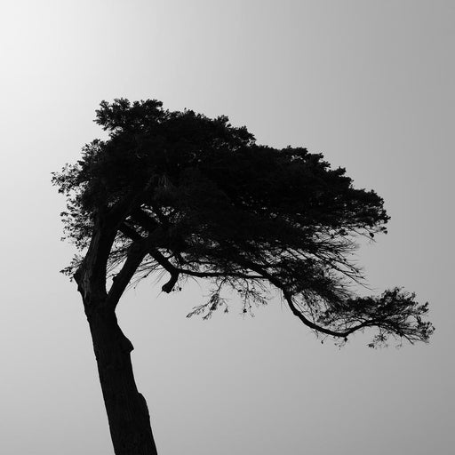 W1042 by Nick Psomiadis
