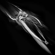  Photography | Water & Light | Nick Psomiadis 