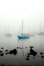  Williamstown Fog | Lady Liberty |  by Nick Psomiadis 