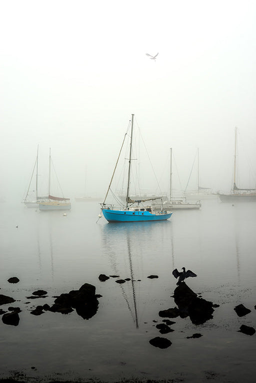  Williamstown Fog | Lady Liberty |  by Nick Psomiadis 