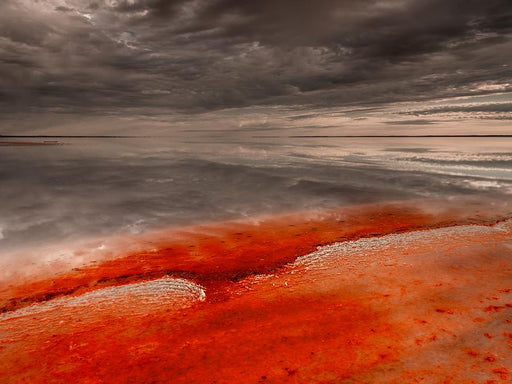 Algotene III by Nick Psomiadis