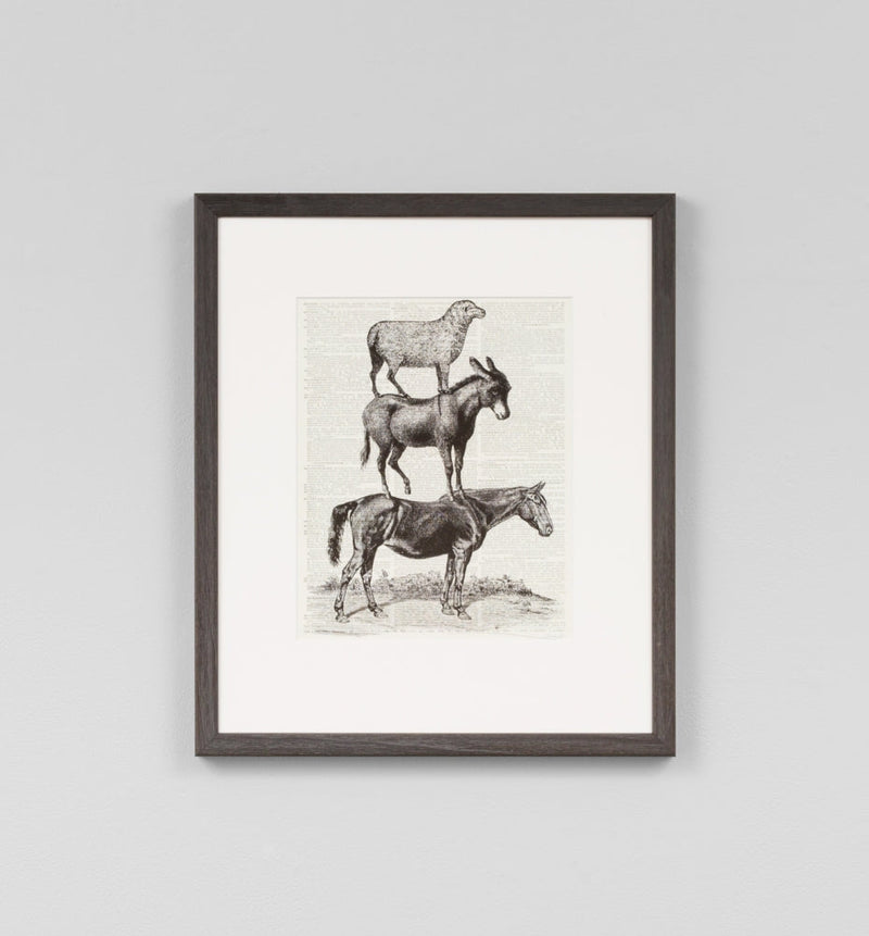 Animal Ride Horse