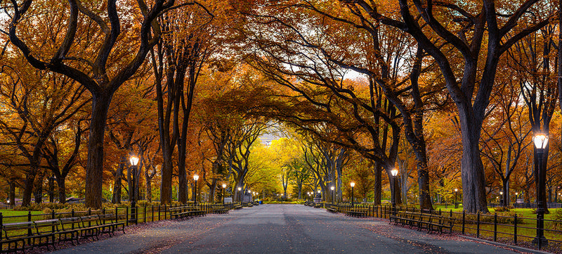 Autumnal Park | Wide Format | by Nick Psomiadis