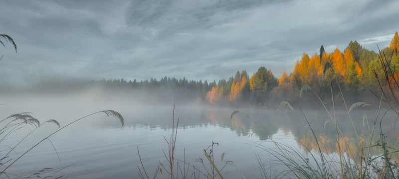 Awakening in Mist by Nick Psomiadis