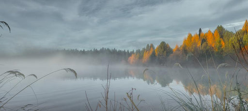 Awakening in Mist by Nick Psomiadis