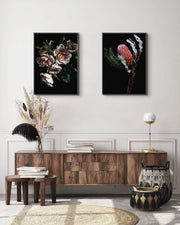 Antique Rose Cascade and Banksia | Elise Catterall