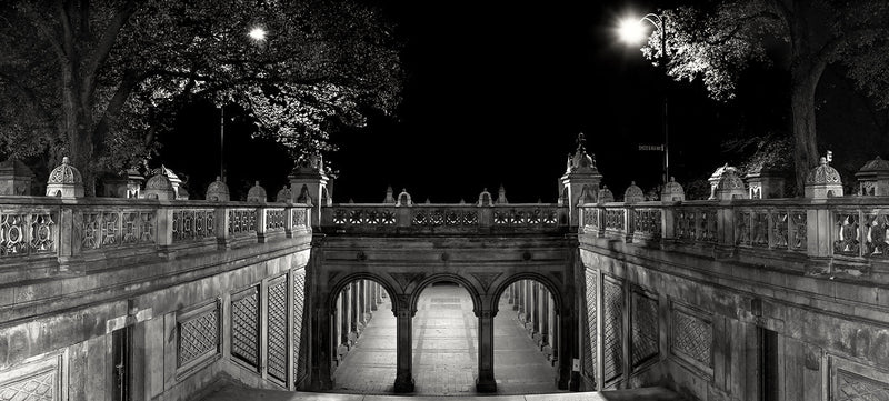 Bethesda Terrace | Wide Format | by Nick Psomiadis