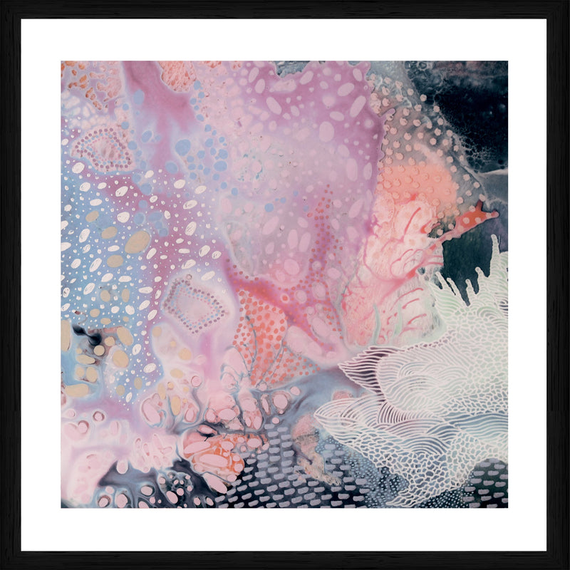 Chinchilla | Framed Print