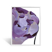 White Frame