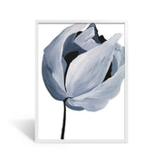 White Frame