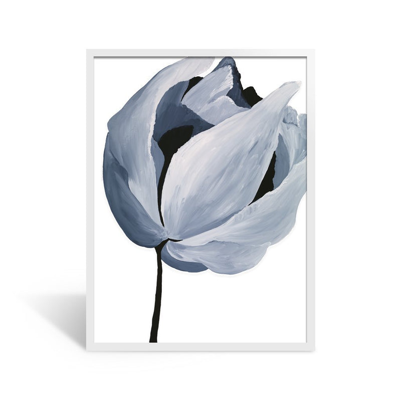 White Frame