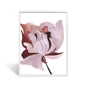 White Frame