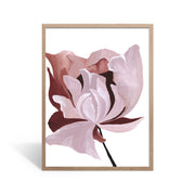 Oak Frame