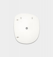 Ebb White