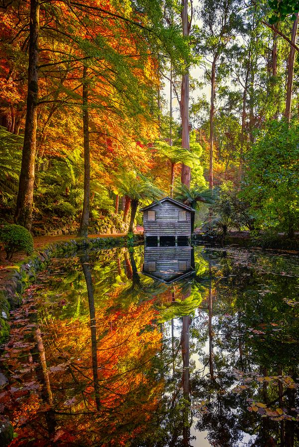 Enchanted Alfred Nicholas Gardens by Nick Psomiadis