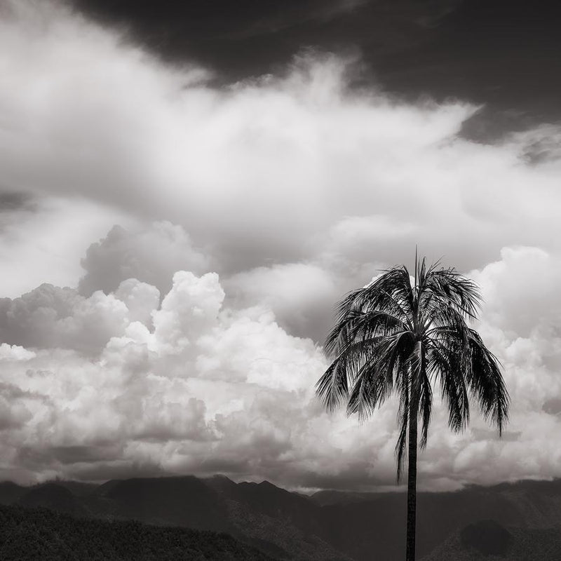 Far North by Nick Psomiadis