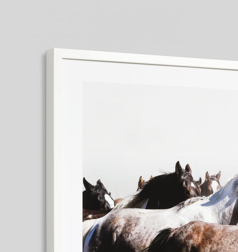 Galloping Ponies