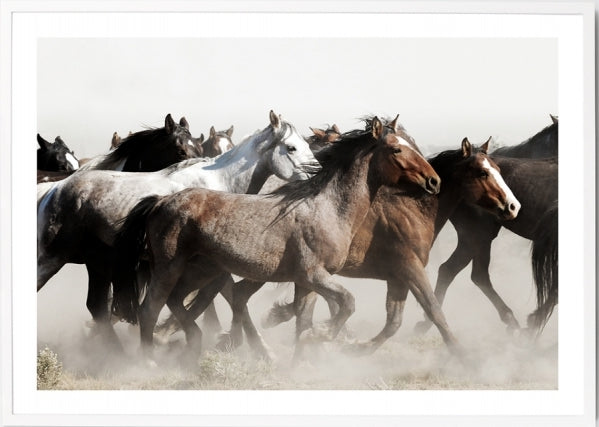 Galloping Ponies