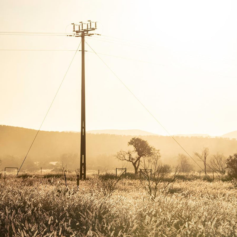 Grass Plains Outback Australia #3 by Nick Psomiadis