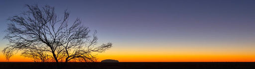Great Southern Land by Nick Psomiadis