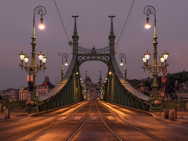 Liberty Bridge by Nick Psomiadis