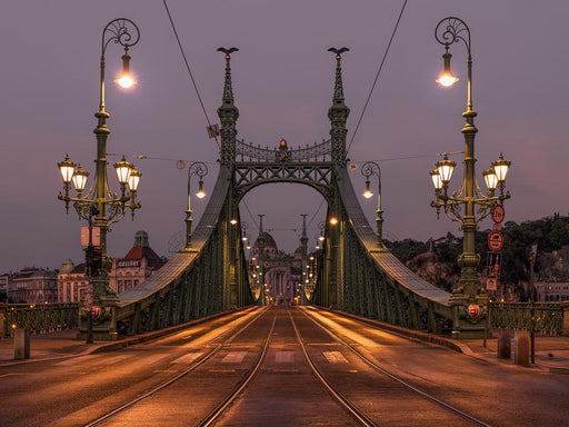 Liberty Bridge by Nick Psomiadis