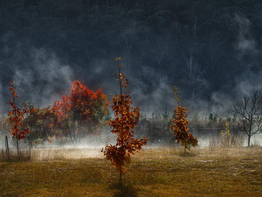 Light of Bright by Nick Psomiadis