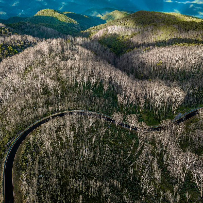 Majestic Mountain Drive by Nick Psomiadis