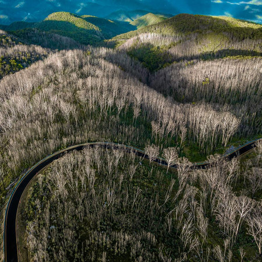 Majestic Mountain Drive by Nick Psomiadis