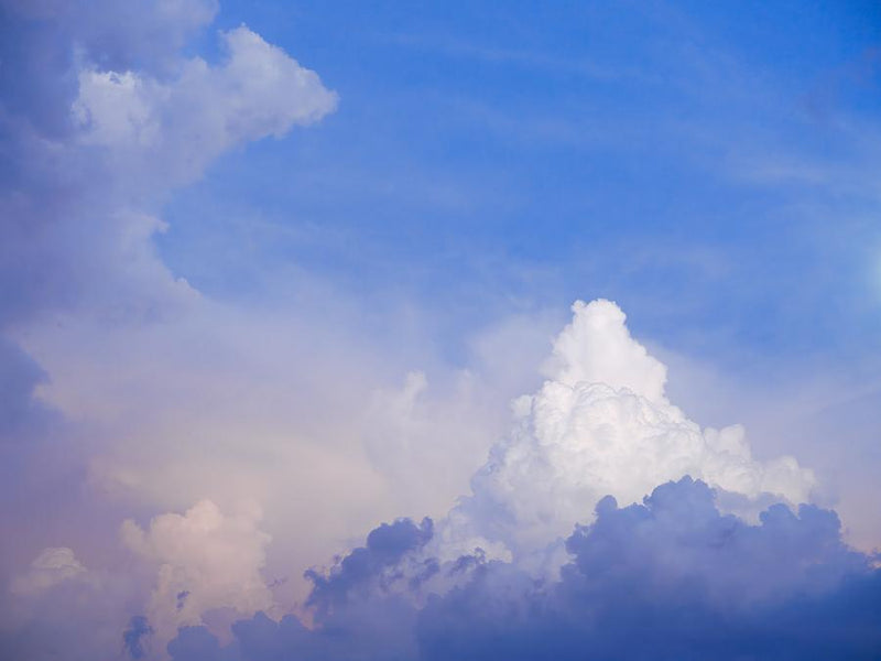 Midday Majesty by Nick Psomiadis