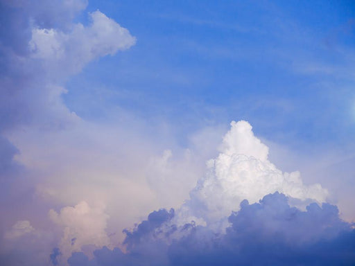 Midday Majesty by Nick Psomiadis