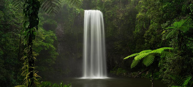 Millaa Millaa Falls by Nick Psomiadis