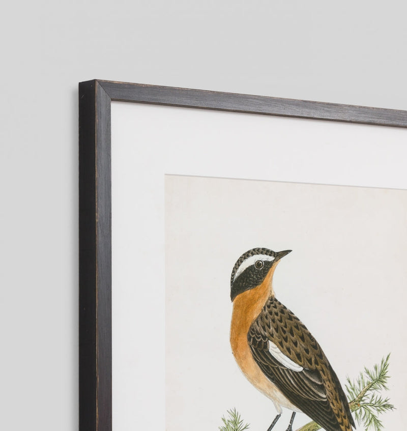 Morris Winchat
