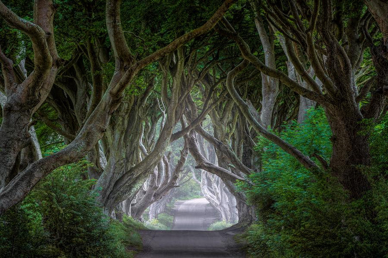 Mystic Avenue by Nick Psomiadis