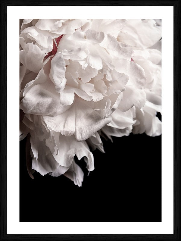 Mystic Bloom