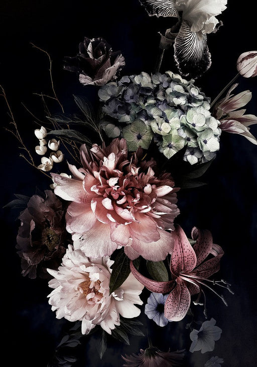 Mystic Night | Print Decor