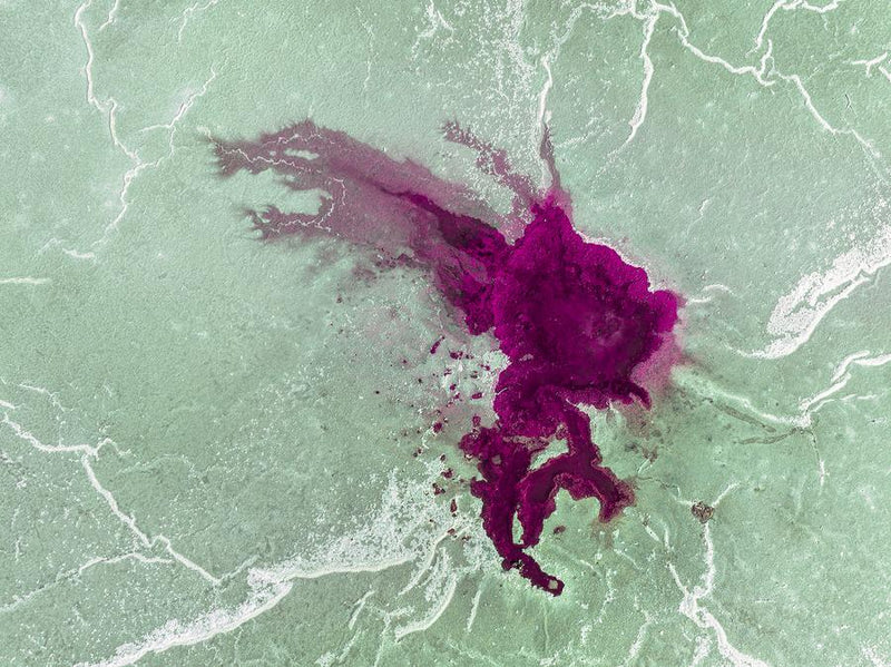 Nature’s Inkblot by Nick Psomiadis