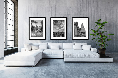 Top of The Rock | Perched on Guard | Central Park