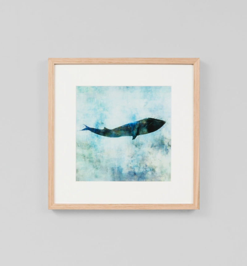 Ocean Whale 1