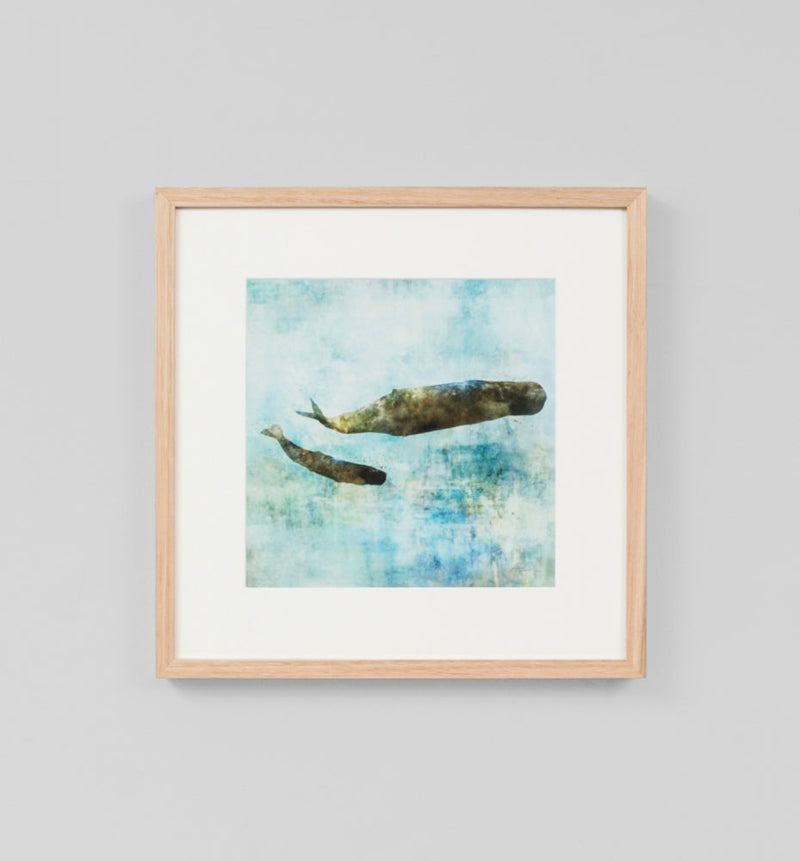 Ocean Whale 2