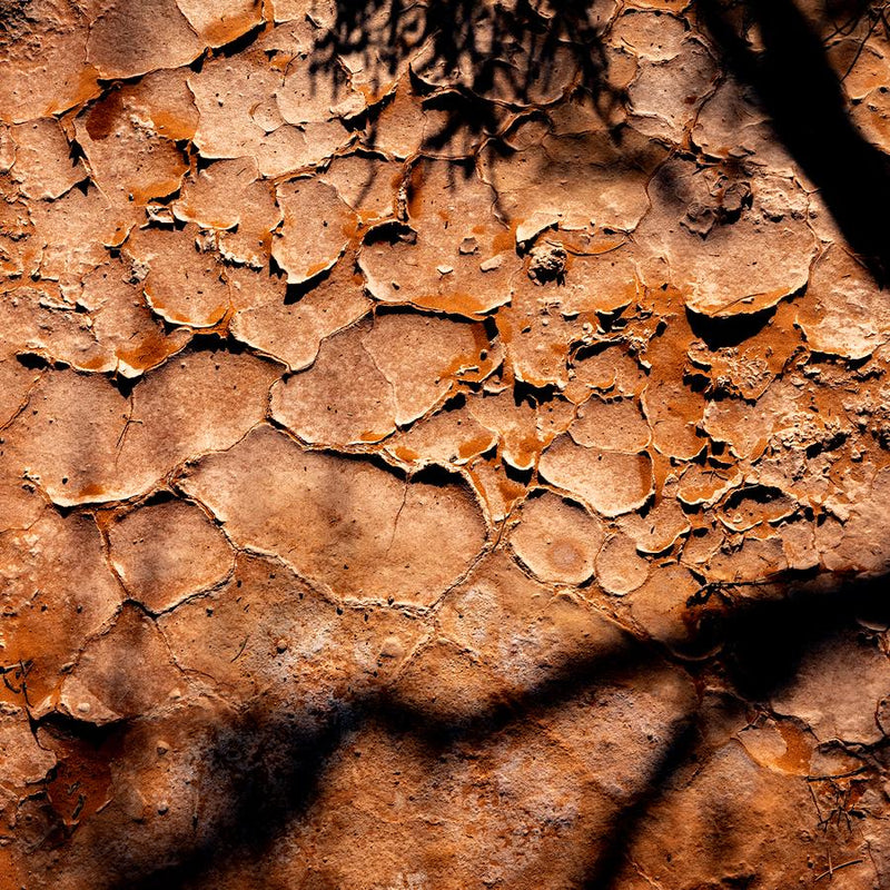 Outback by Nick Psomiadis